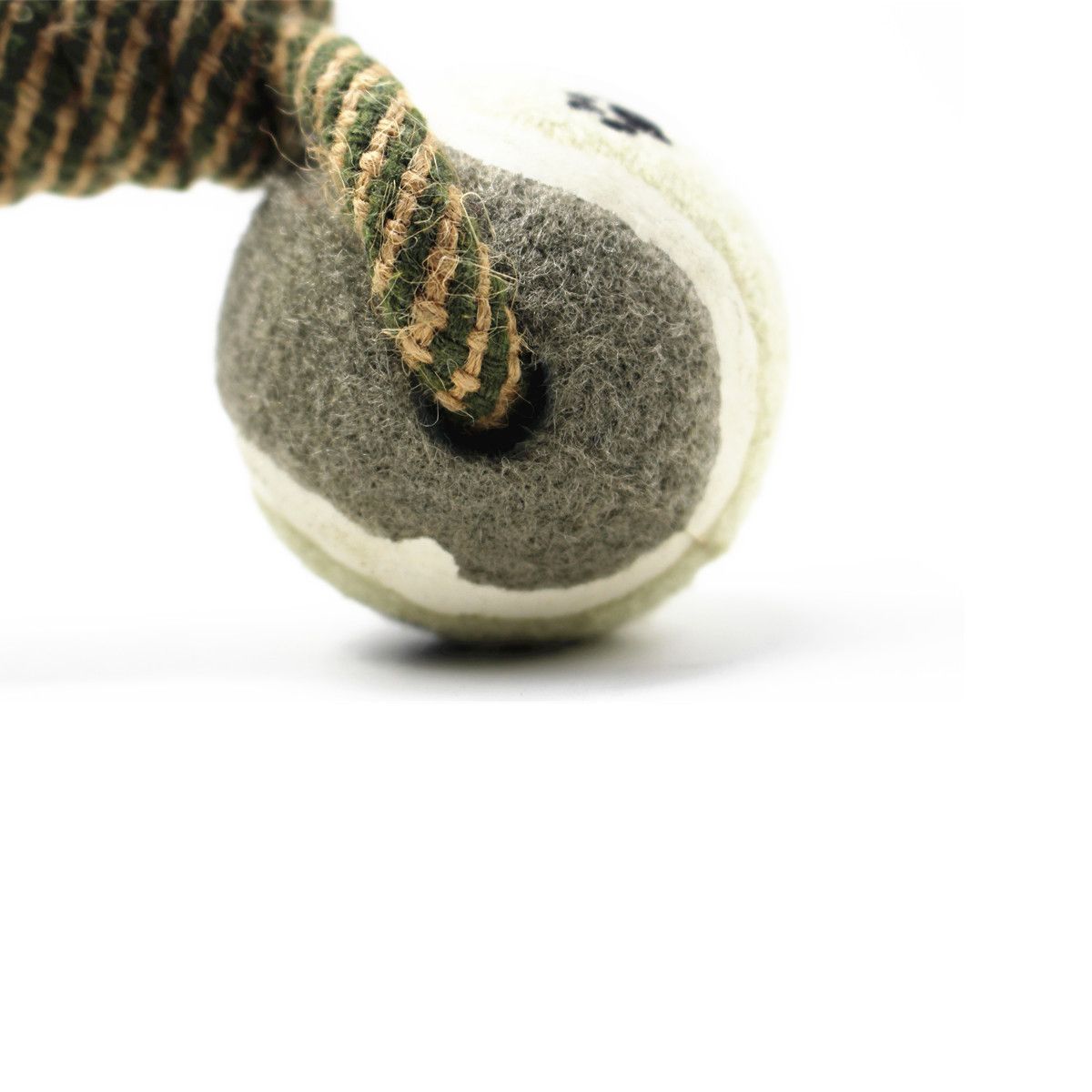495580031