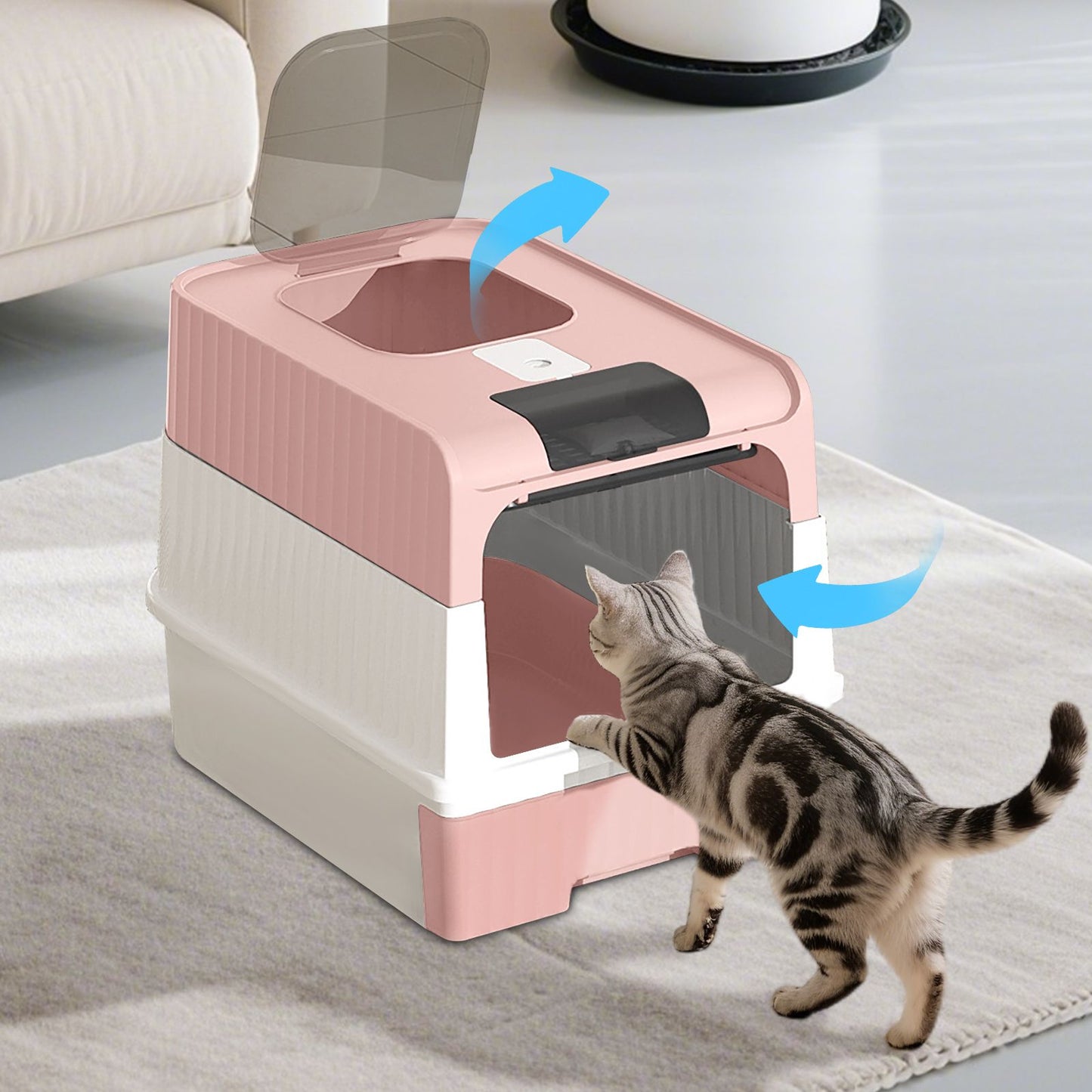 528539241
