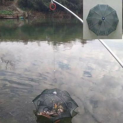 528536911